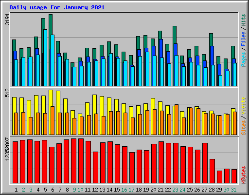 Daily usage for January 2021