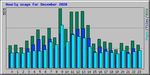 Hourly usage for December 2020