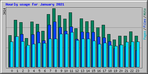 Hourly usage for January 2021