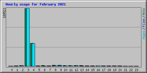 Hourly usage for February 2021